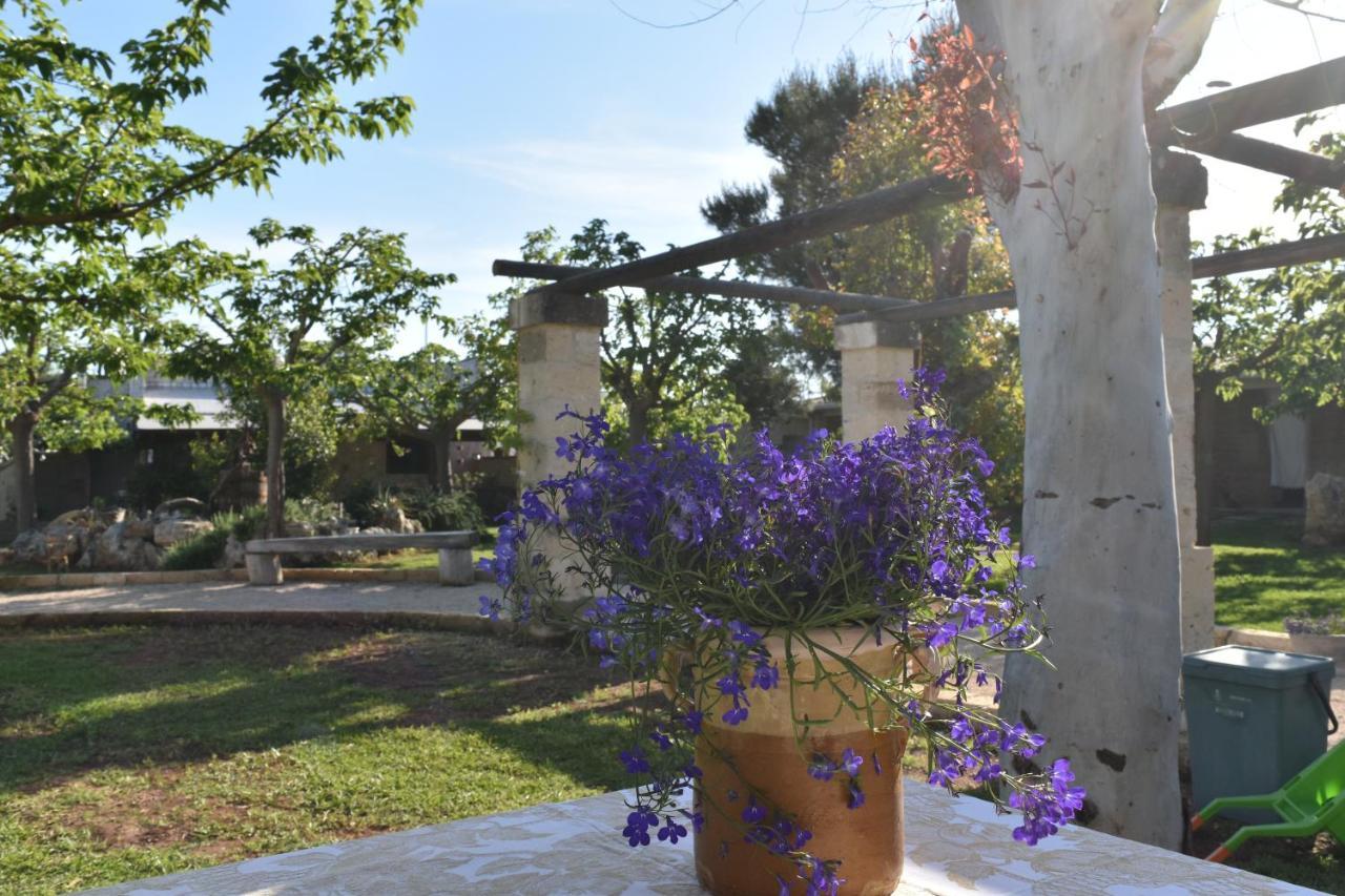 Tenuta Nonno Carmine ปอร์โตเชซาเรโอ ภายนอก รูปภาพ